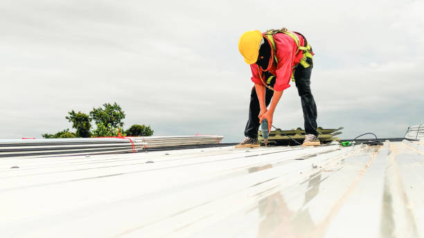 Best Solar Panel Roofing Installation  in Clay, CA