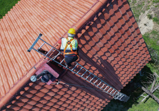 Best Roof Moss and Algae Removal  in Clay, CA